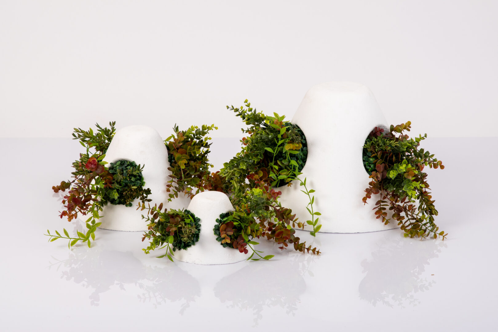 ALE_0042